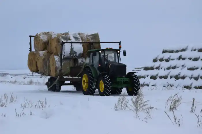 Сандыктау: ТОО «Свободное» развивает животноводство {city2}