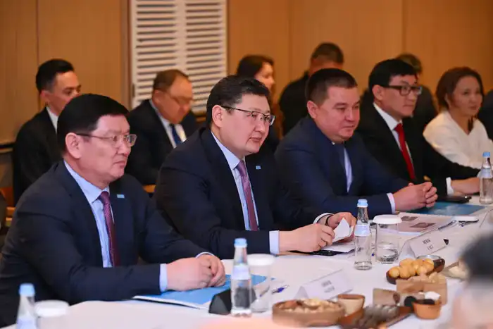 Аким области встретился с зарубежными инвесторами (6)