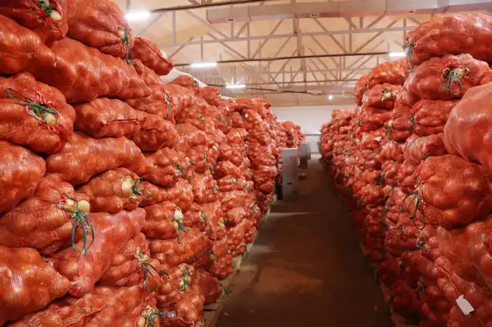 Ербол Карашукеев: Вдохновляющее путешествие по аграрным просторам Байзакского района {city2}