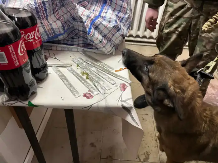 Попытка передачи наркотиков осужденному в Кызылординской области подчеркивает проблемы безопасности в учреждениях УИС {city2}