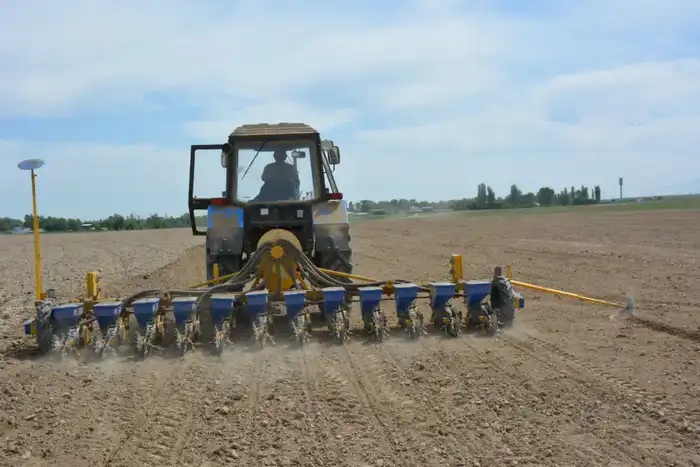 Снижение посевных площадей в Жамбылской области: последствия для аграрного сектора и водоснабжения {city2}