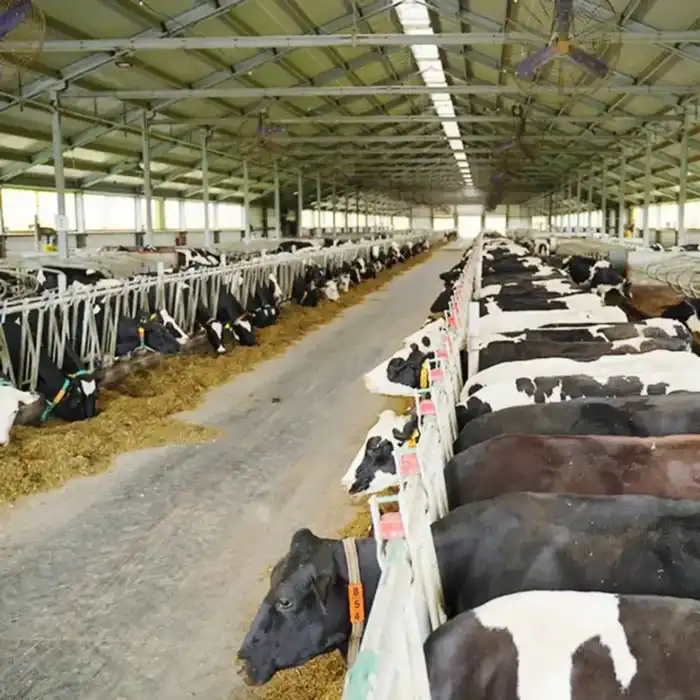 Агроинвестиции в ВКО: продовольственная безопасность, потенциал АПК, благосостояние сёл (2)