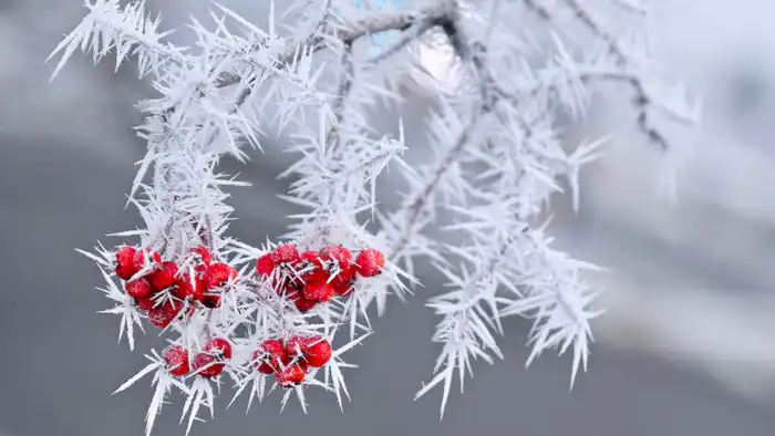 Синоптики предупреждают о сильных морозах до -37°C в Казахстане: прогноз погоды на 21-23 февраля {city2}