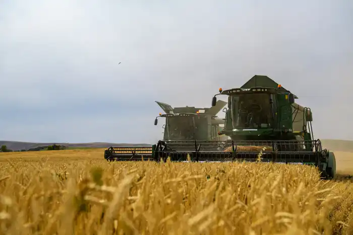 Бейбит Исабаев обозначил шесть приоритетов развития области Жетісу (5)