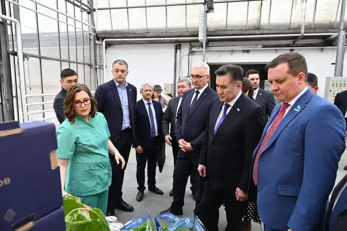 Теплица в Барнауле: огурцы, хризантемы и обмен опытом! {city2}