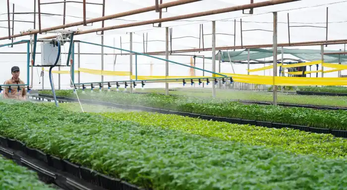 Туркестанская область: успехи в водосбережении {city2}