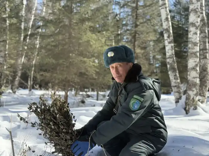 Зимний щит для дикой природы: забота о животных в Катон-Карагайском парке {city2}