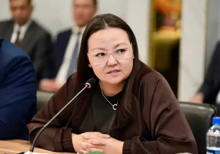 Энергетика без популизма: Ерлан Аккенженов обсудил с аналитиками реальные вызовы отрасли (4)