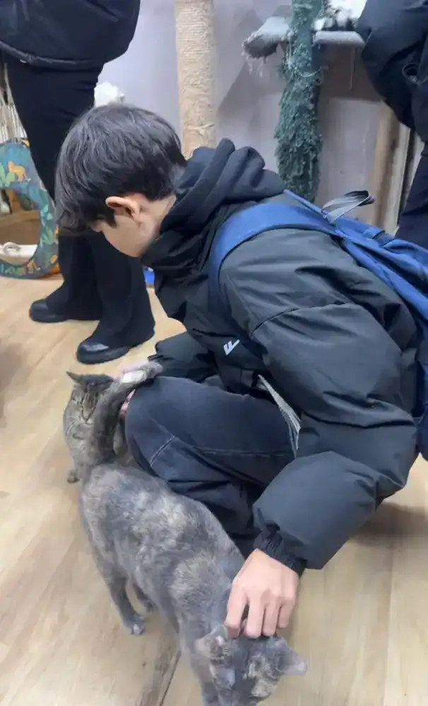 Школьники Астаны: доброе дело для хвостатых друзей! {city2}