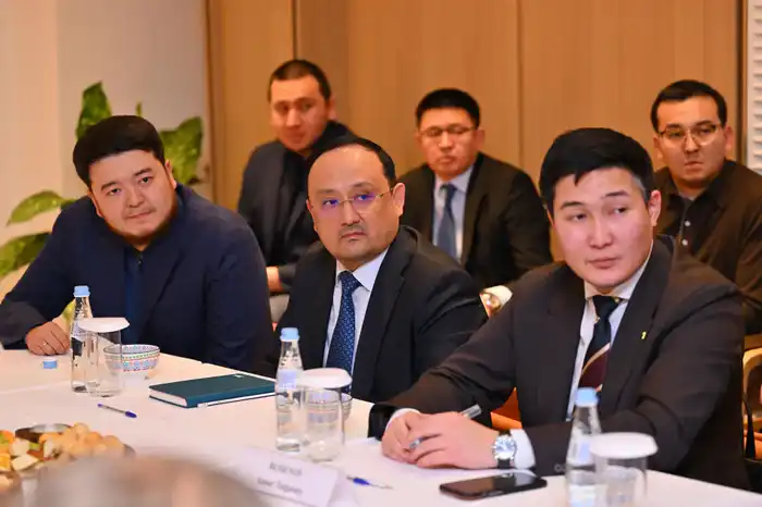 Аким области встретился с зарубежными инвесторами (3)
