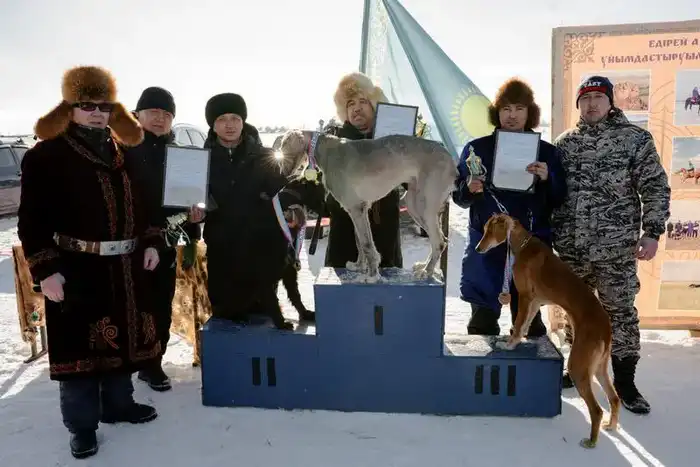 Традиции степи: самых быстрых тазы выбрали в Бухар-Жырауском районе (9)