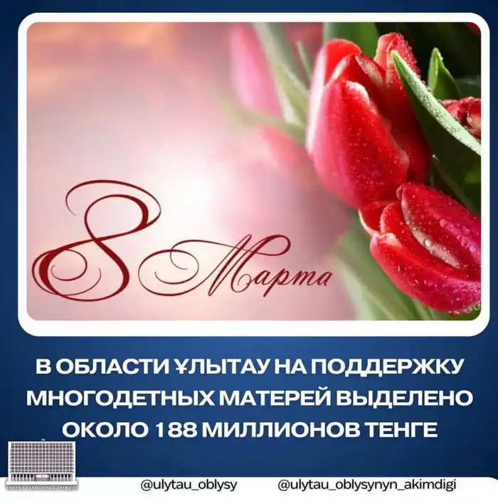 188 миллионов тенге для матерей: кто получит помощь? {city2}