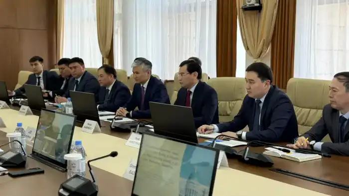 Переговоры с Microbus: Улытау на пороге новых инвестиционных проектов {city2}