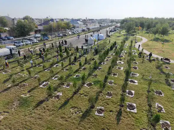 «ТАЗА КАЗАХСТАН»: В ПРОШЛОМ ГОДУ В ТУРКЕСТАНСКОЙ ОБЛАСТИ ВЫСАЖЕНО БОЛЕЕ 1 МЛН САЖЕНЦЕВ (7)