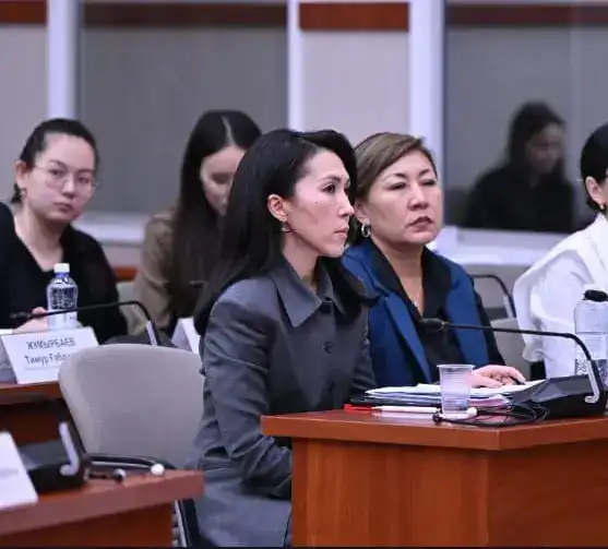 Обсуждение проекта новой Конституции Казахстана на заседании Народной партии с участием вице-министра юстиции {city2}