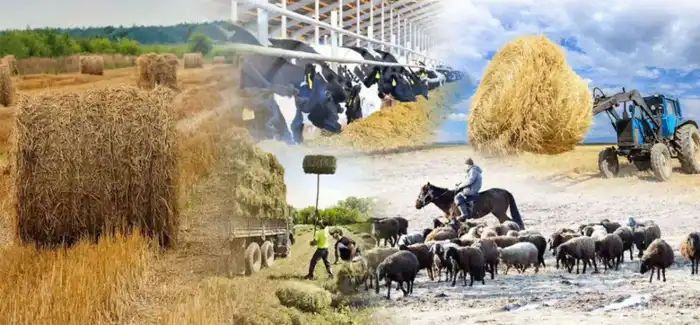 Сельхозкооперативы Казахстана: рост как урожай, собранный за пять лет {city2}