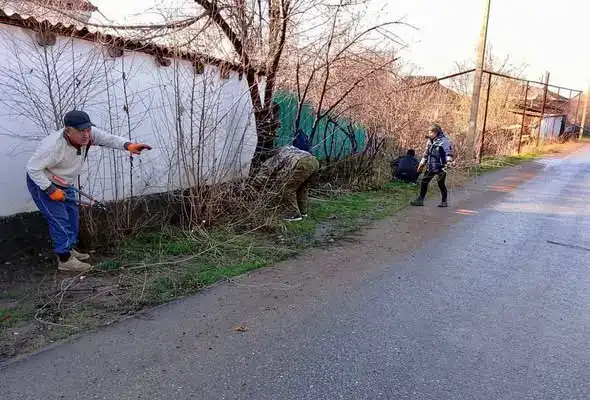 Сарыагаш: чистота в каждом уголке! {city2}