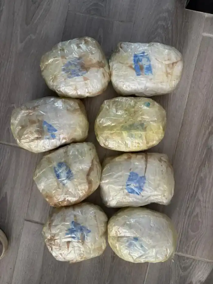 О ликвидации канала контрабанды наркотиков (4)