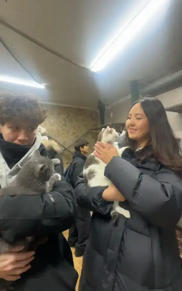 Столичные школьники приняли участие в благотворительном мероприятии «Одно доброе дело – забота о животных» (2)