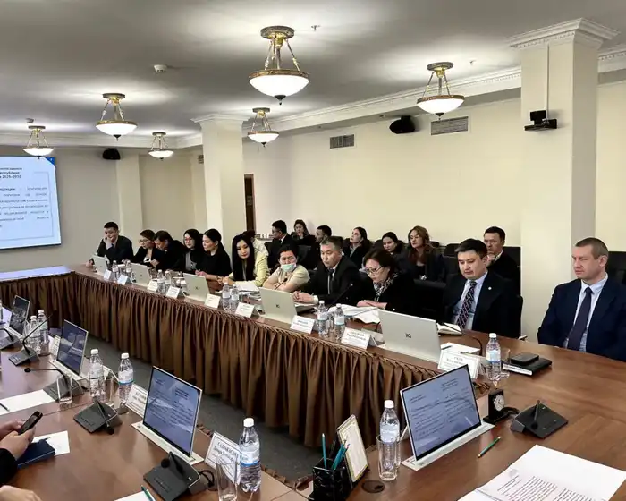 В Минтруда обсудили реализацию Концепции инклюзивной политики с экспертами проекта Сената «Талдау мектебі – Школа аналитики» (4)