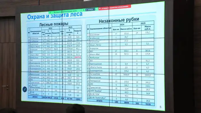 Международные усилия по сохранению лесов и биоразнообразия в Казахстане к 2025 году {city2}