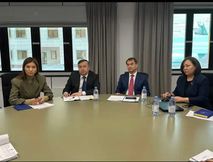 Министр финансов РК обсудил вопросы налогообложения и социальной поддержки в контексте международного сотрудничества {city2}
