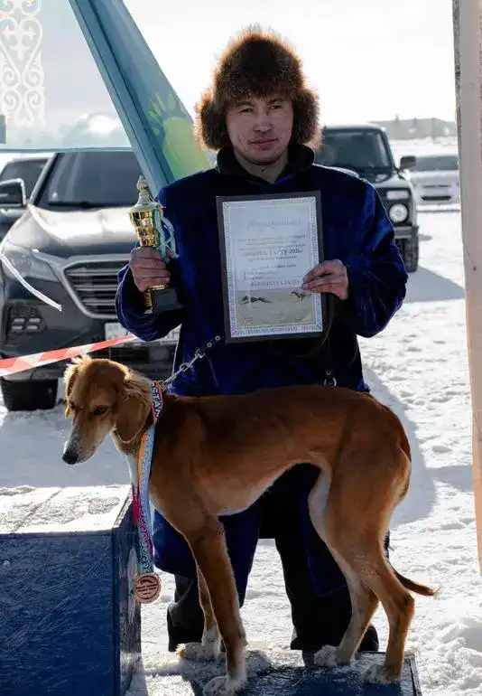 Соревнования по шырга тарту в Бухар-Жырауском районе: акцент на безопасность и традиции {city2}