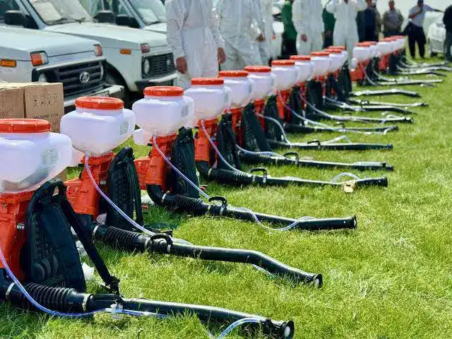 Борьба с саранчой в Туркестане: утвержден штаб и новые фитосанитарные меры {city2}