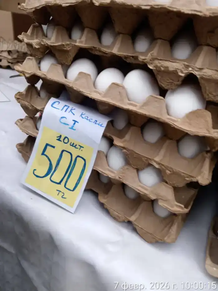 Картошка из фонда: свежесть на ярмарке Актау! {city2}