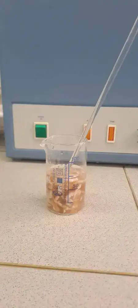 Шкура КРС: от отхода к драгоценному сырью благодаря инновациям казахстанских ученых {city2}