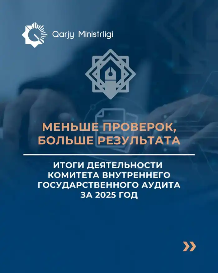 Комитет внутреннего государственного аудита 2025: сокращение проверок и рост выявленных финансовых нарушений на 36% {city2}