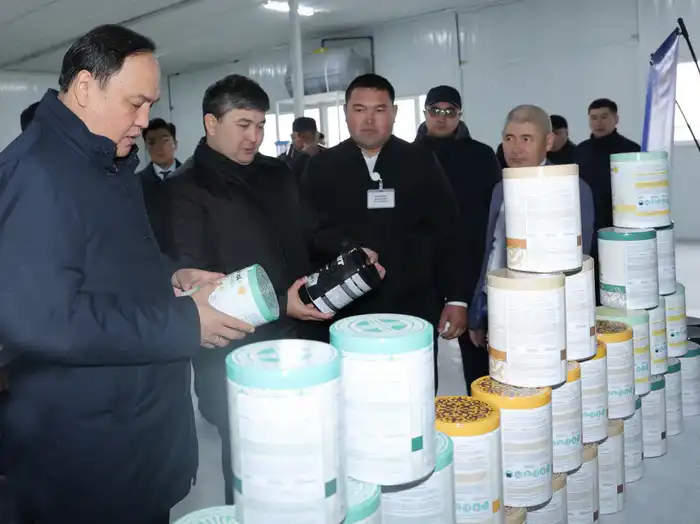 Талас: развитие пищевой промышленности и транспорта {city2}