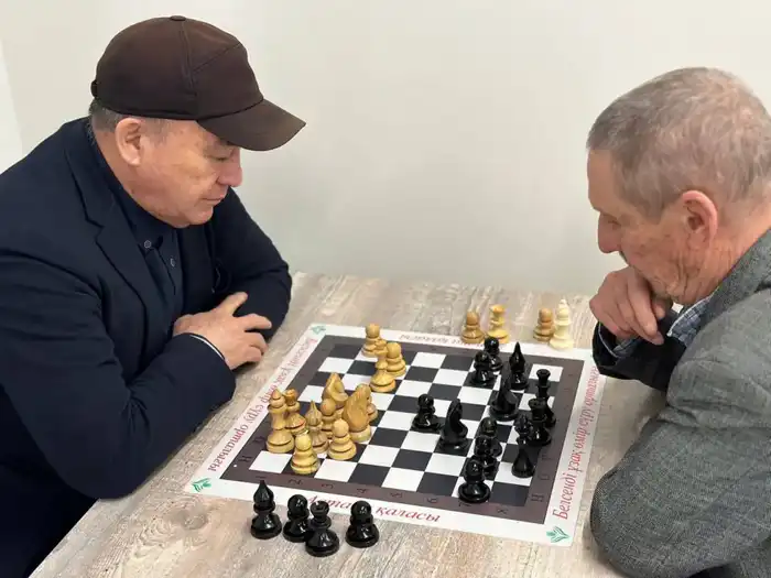 Соревнования по шашкам среди пенсионеров в Астане: борьба умов и социальное взаимодействие {city2}