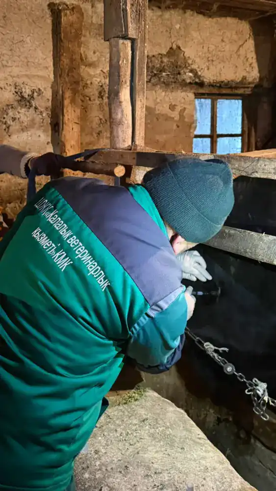 В Алматы стартовала бесплатная вакцинация сельскохозяйственных животных, поддерживающая здоровье и безопасность местных фермеров {city2}