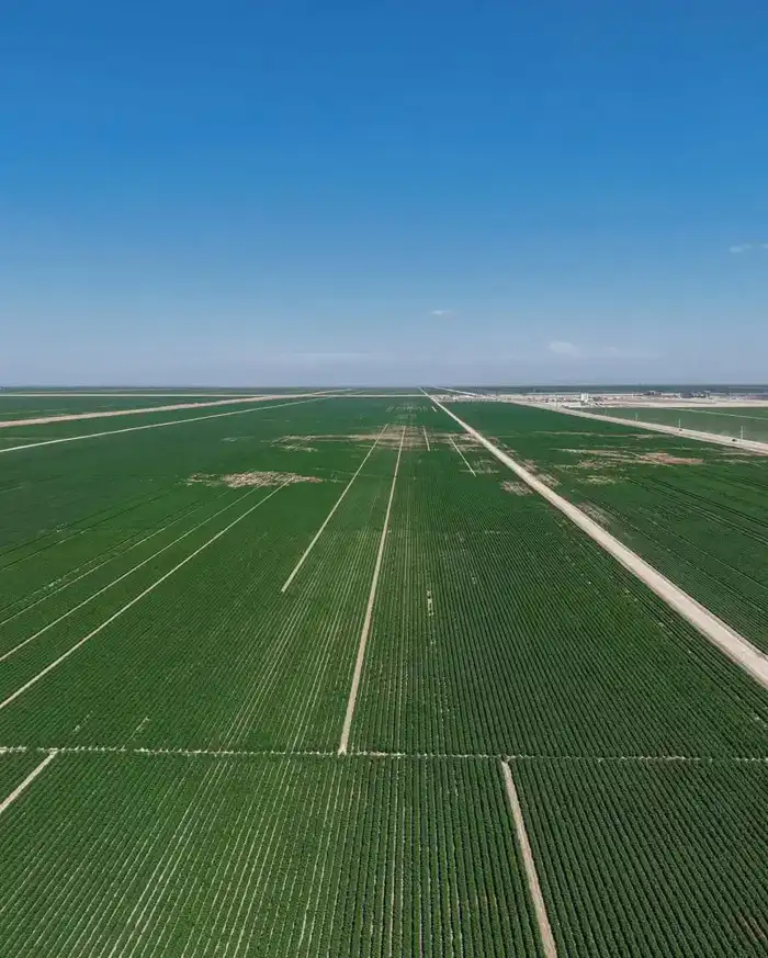 В ТУРКЕСТАНСКОЙ ОБЛАСТИ РАЗРАБОТАЮТ ПЛАН МЕРОПРИЯТИЙ ПО ИСПОЛНЕНИЮ ПОРУЧЕНИЙ ПРЕЗИДЕНТА (5)