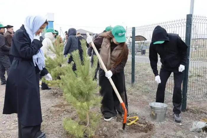 37 новых экологических инициатив в Акмолинской области {city2}