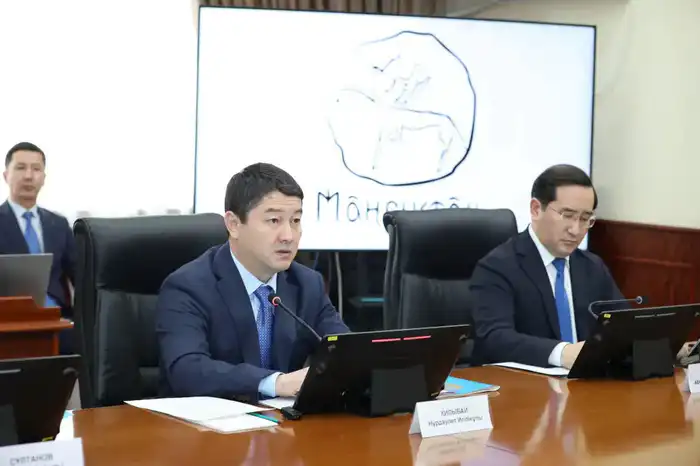 Нурдаулет Килыбай встретился с представителем UNICEF в Казахстане (5)