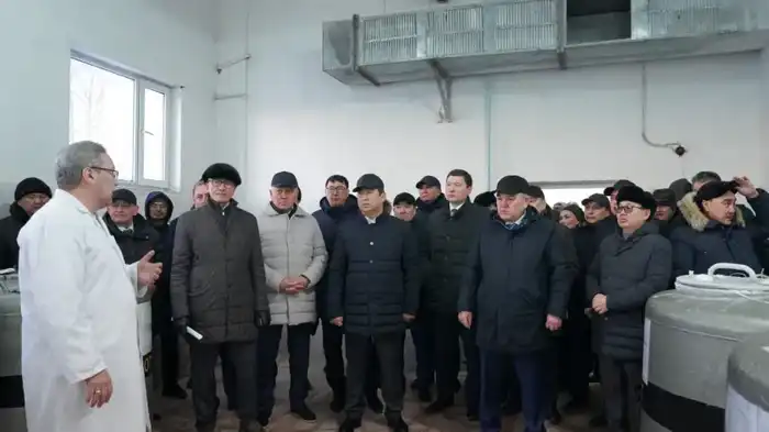 Рассмотрены актуальные вопросы развития племенного животноводства (7)