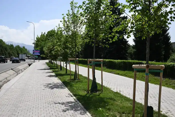 Алматы планирует увеличить зеленые насаждения до 15 кв. м на человека к 2030 году {city2}