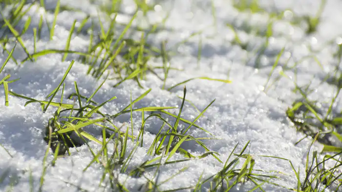 Астана и Алматы: потепление до +10°C в начале февраля по прогнозу синоптиков {city2}
