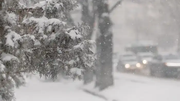 Казахстан под одеялом зимы: дождь и снег в преддверии весны 16 и 17 февраля {city2}