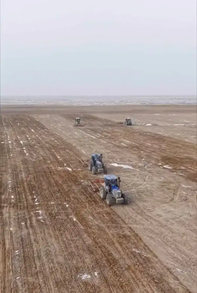 Проект по переработке кукурузы и сои стоимостью 51 млрд тенге реализуется в Кызылординской области (5)