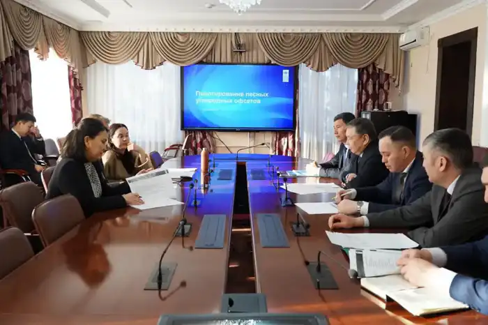 Развитие углеродных инициатив: встреча с представителями ПРООН прошла в Акмолинской области (4)