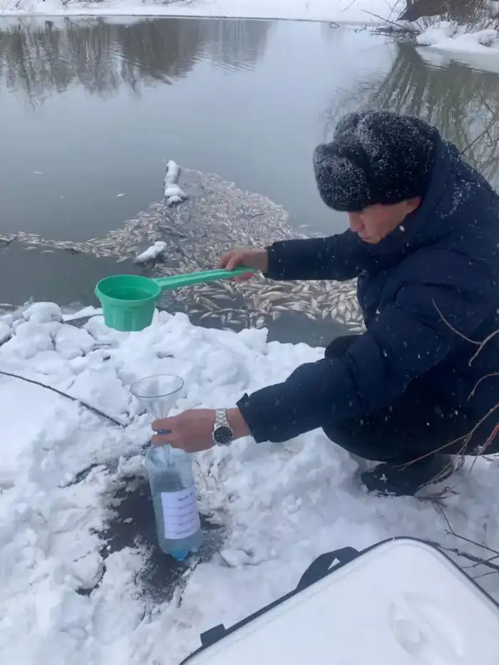 Внеплановая проверка по факту гибели рыбы в реке Айдабулка (3)