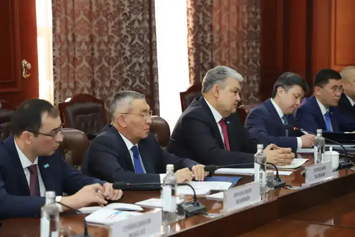 Казахстан и Таджикистан подтвердили приверженность дальнейшему укреплению политического диалога (2)