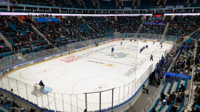 Необычную акцию в поддержку Конституционных реформ провели во время матча столичного хоккейного клуба «Барыс» (6)