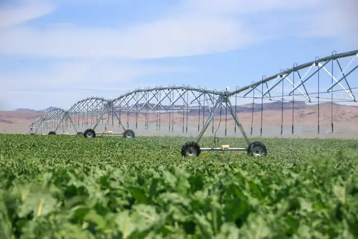 Бейбит Исабаев обозначил шесть приоритетов развития области Жетісу (6)