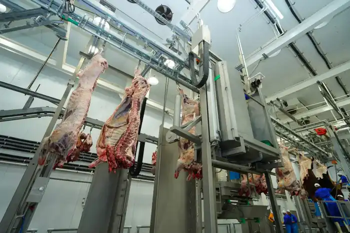 ТУРКЕСТАНСКАЯ ОБЛАСТЬ ЭКСПОРТИРОВАЛА ЗА РУБЕЖ БОЛЕЕ 60 ТЫСЯЧ ТОНН МЯСА, СТАВ ЛИДЕРОМ В РЕСПУБЛИКЕ (9)