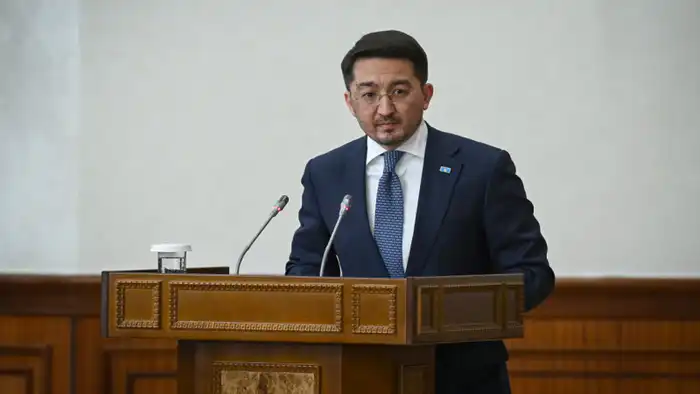 Токаев критикует вице-премьера на заседании правительства: кто отвечает за идеи? {city2}