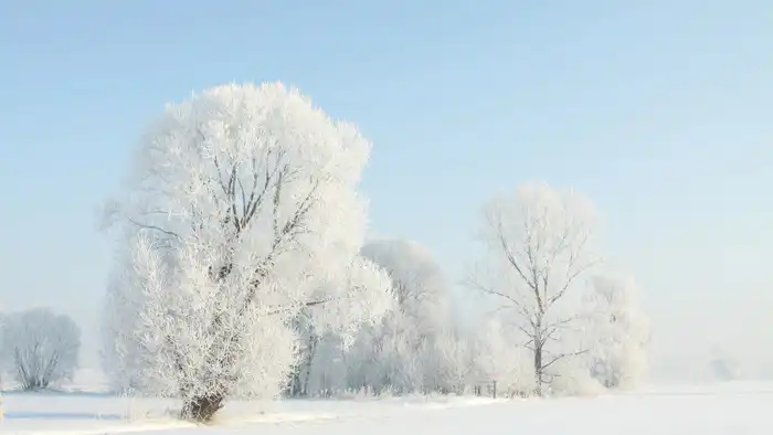 Синоптики Казгидромета прогнозируют резкое похолодание в Казахстане после теплых дней с температурой до +17 градусов, ожидаемое 5, 6 и 7 февраля. {city2}